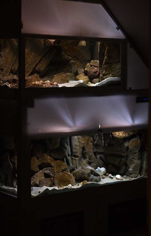 Tanganjikabecken MG 9206