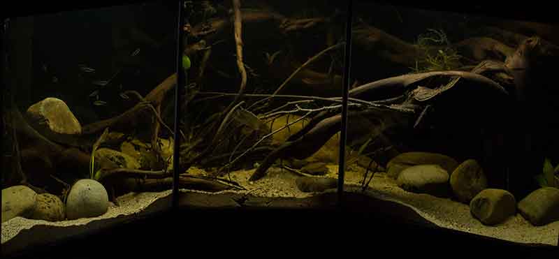 RioTapajos .. unser Traum von Südamerika - Amazonasbecken ...