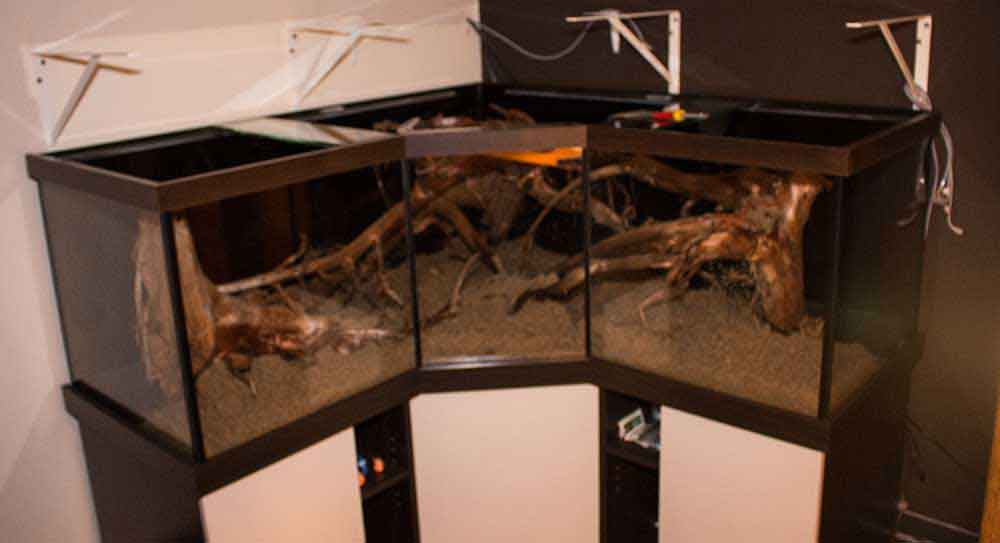 Amazonas - Rio Tapajos