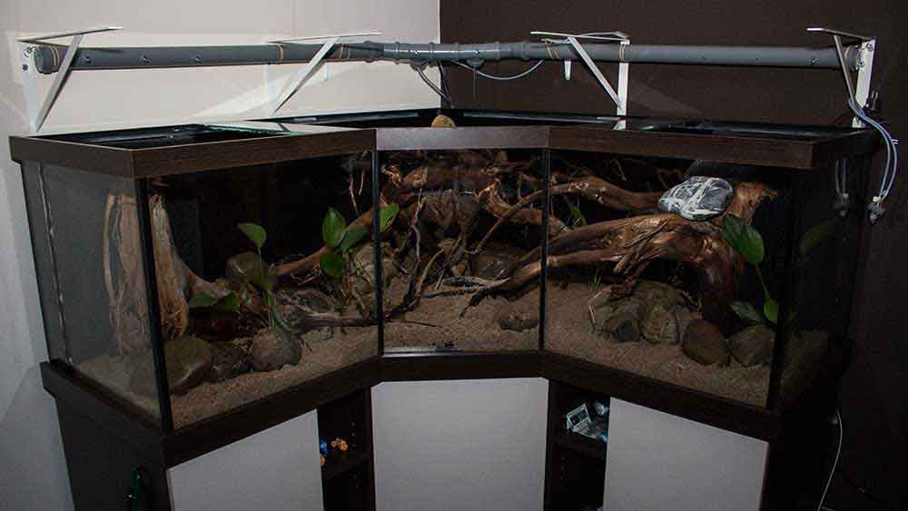 Amazonas - Rio Tapajos