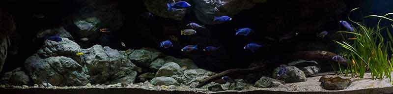 Big Bang Malawi - Gesamtansicht -