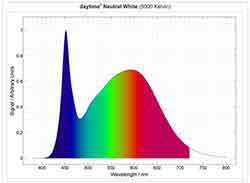 "daytime" NeutralWhite