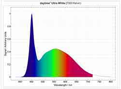 "daytime" UltraWhite