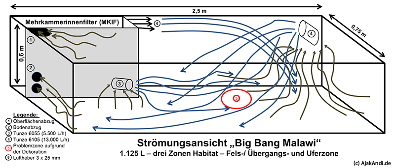 Strömungsverhalten im Becken