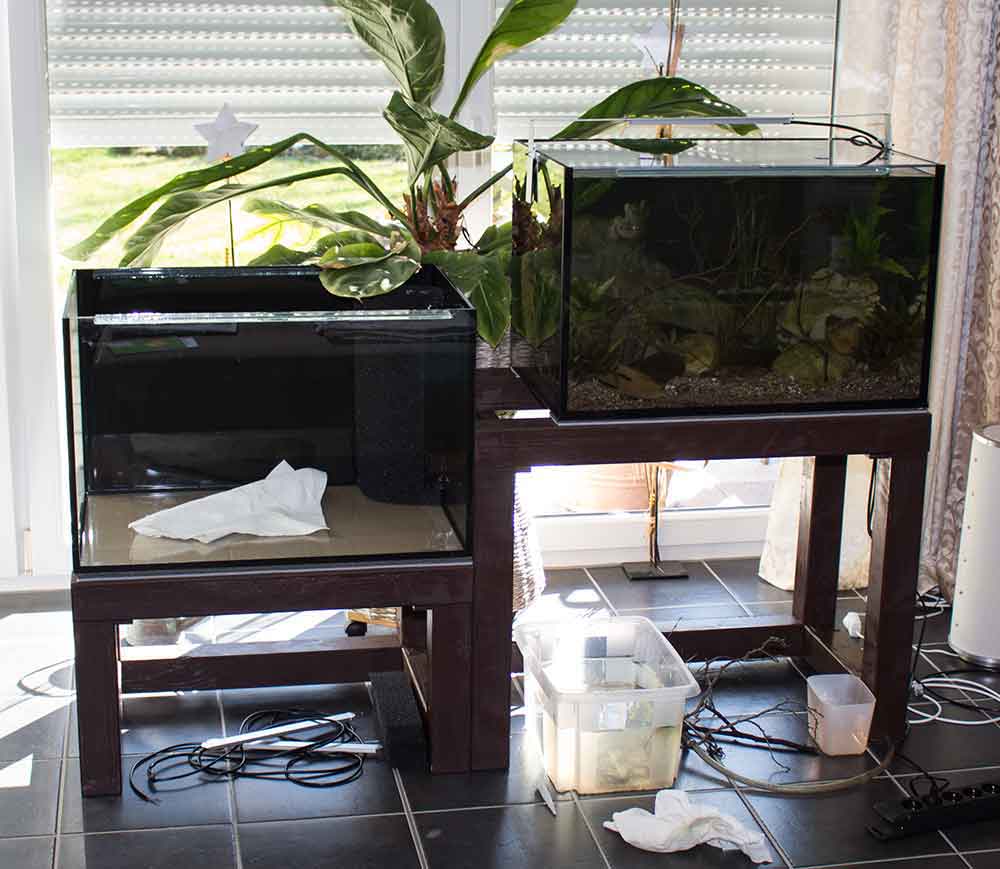 Projekt "smaugs Einöde" nimmt Fahrt auf..