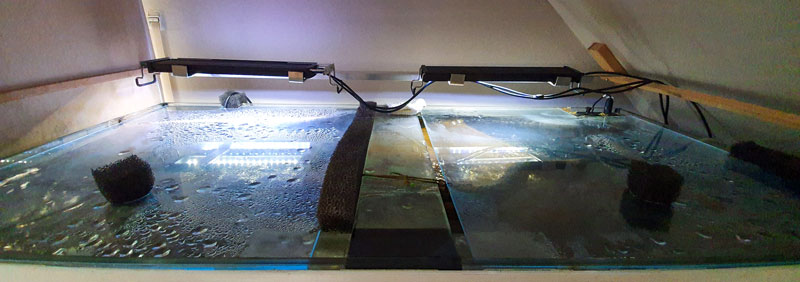 ShellsKitchen Wartung