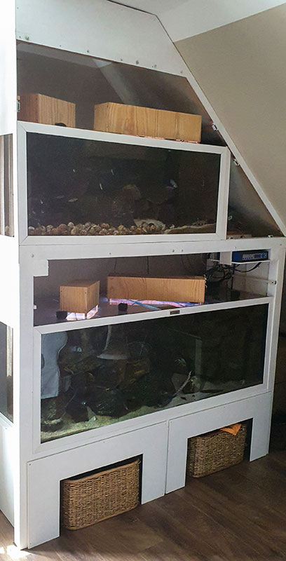 Tangajikaa vorUmbau alt 800