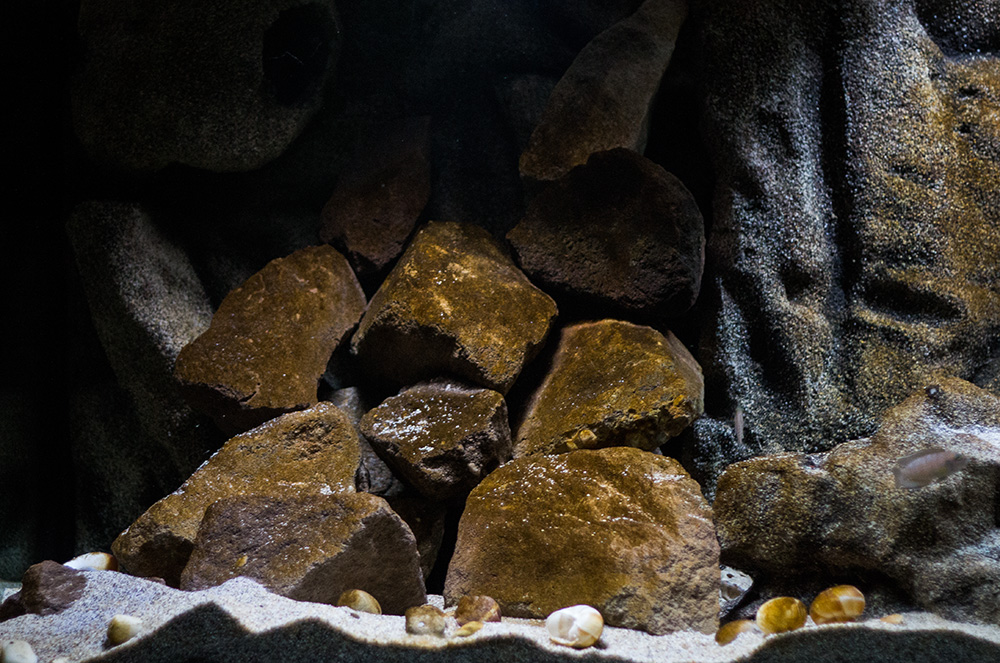 TangaCave links MG 9215