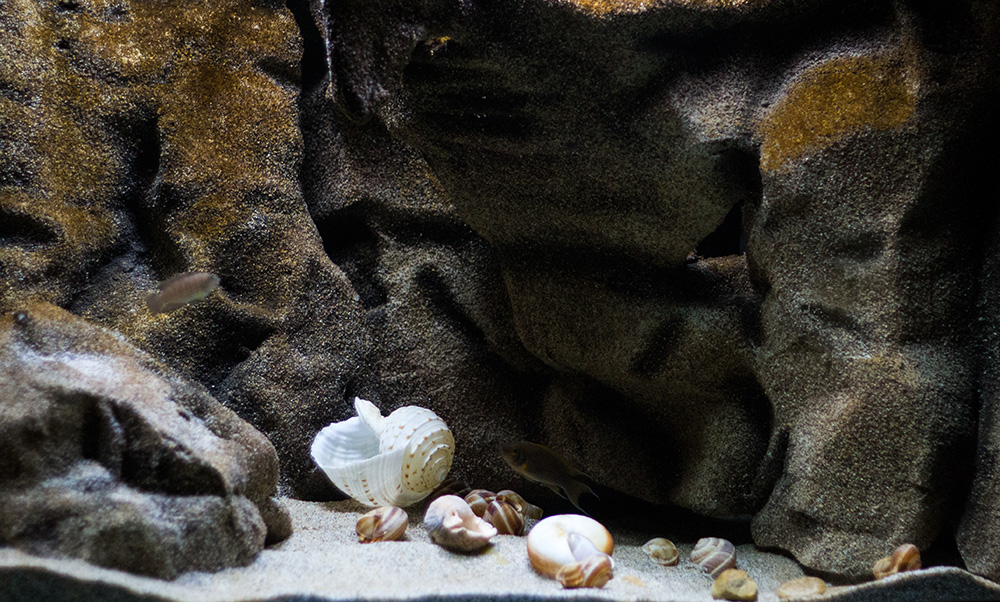 TangaCave rechts MG 9217