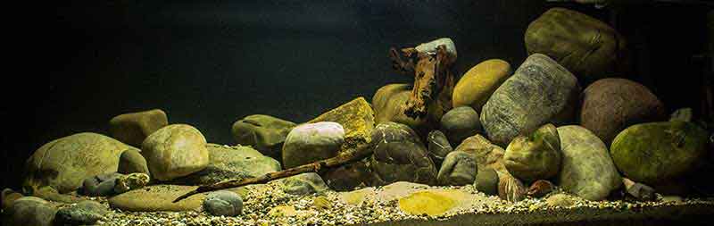 Asien - China Bergbach