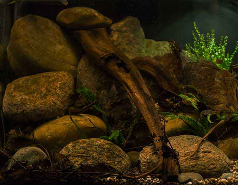 Zentralafrika - Nigeria