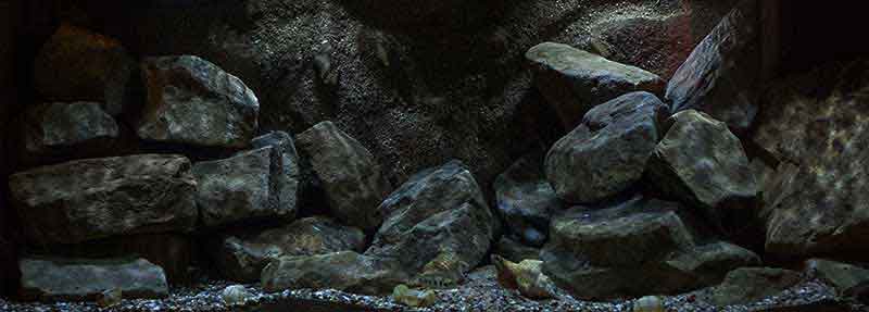 Tanganjikasee - Felszone