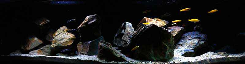 Afrika - Malawise - Felszone