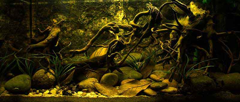 Zentralafrika - Nebenfluss "Kongo"