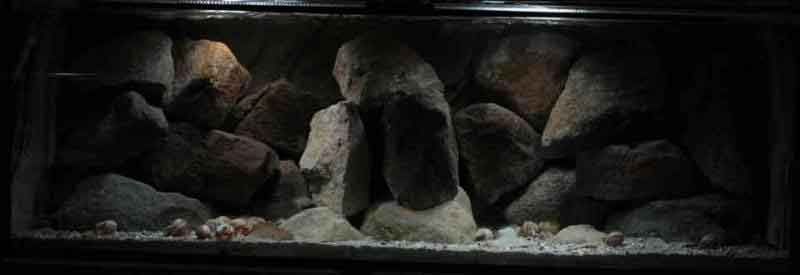 Tanganjikasee - tiefes Felslitoral