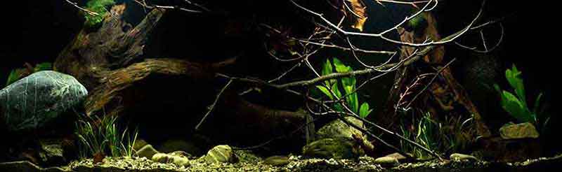 Südamerianischer Flusslauf