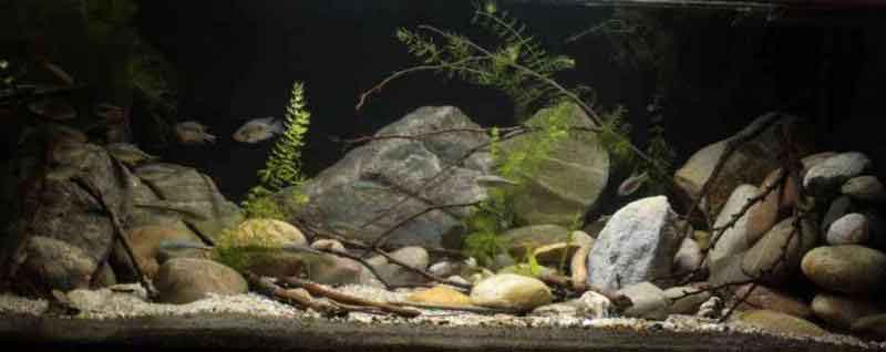 Mittelamerika - Flussausschnitt