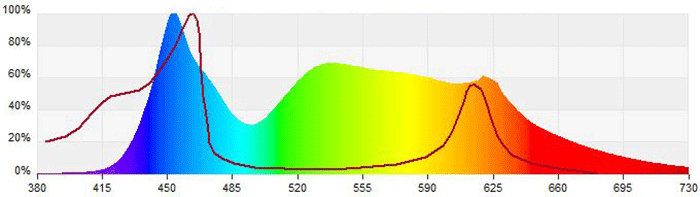bild10 Chlorophyll b
