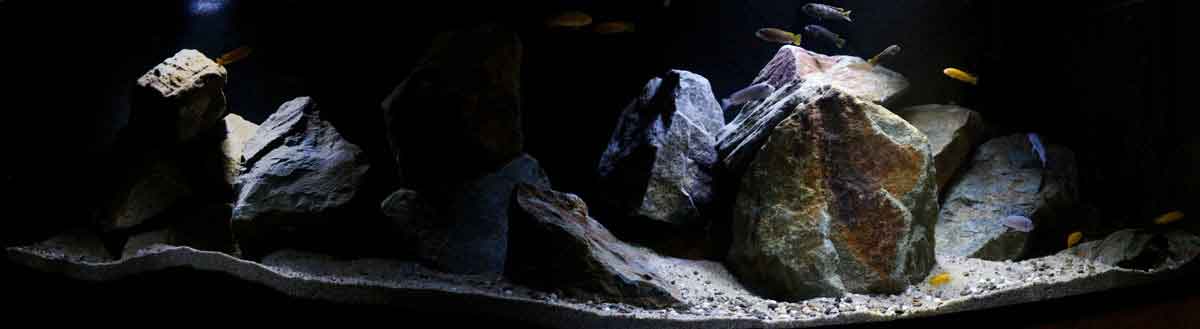 PanoramDarkStoneMbuna klein