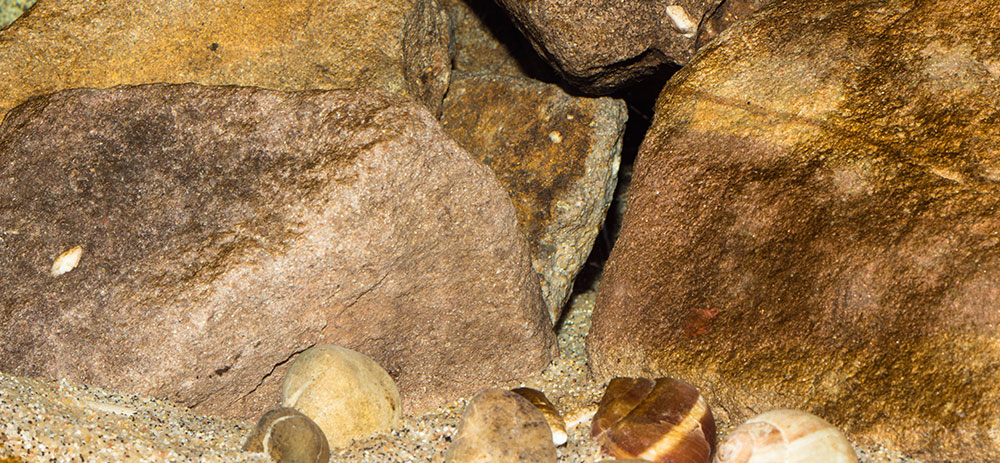 Felsen Hoehle MG 8183