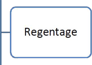 6Regentage