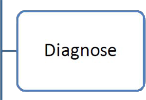 4Diagnose