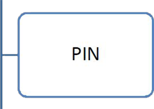 3PIN