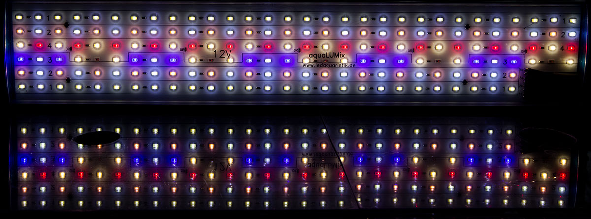 aquaLUMIX grow LED IMG 8690