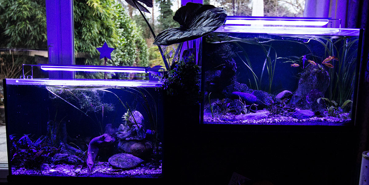 .. klick für vergößerte Ansicht!! IMG 8676