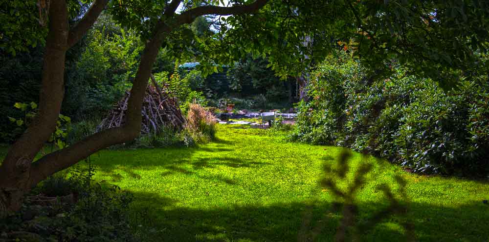Garten HDR2