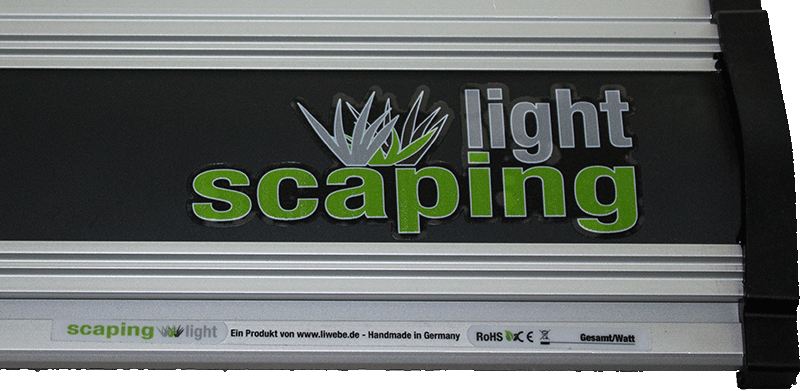 Scaping light "nature" ...