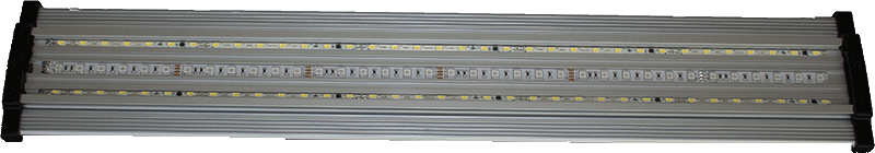 Scaping light nature (70cm)