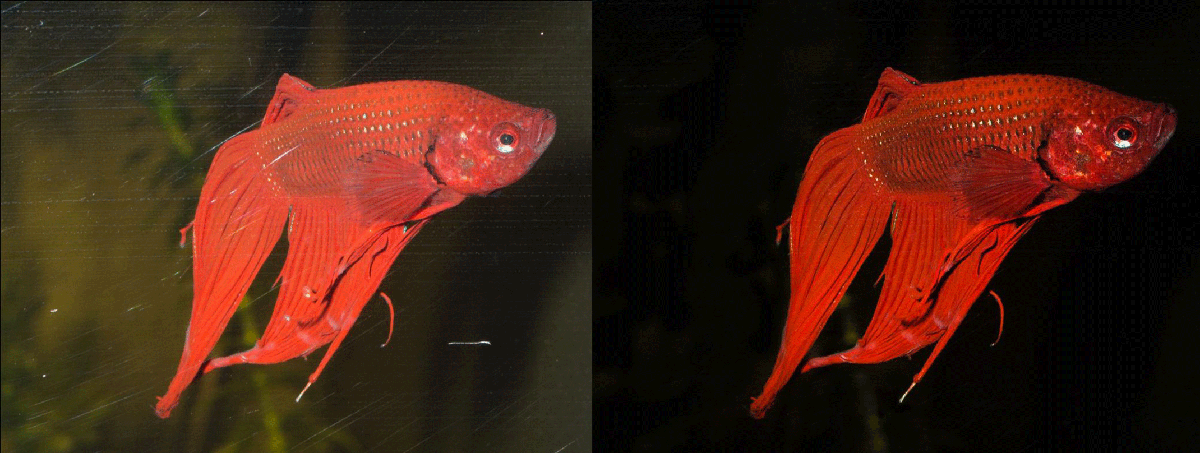 Vergleich beide MG 3147